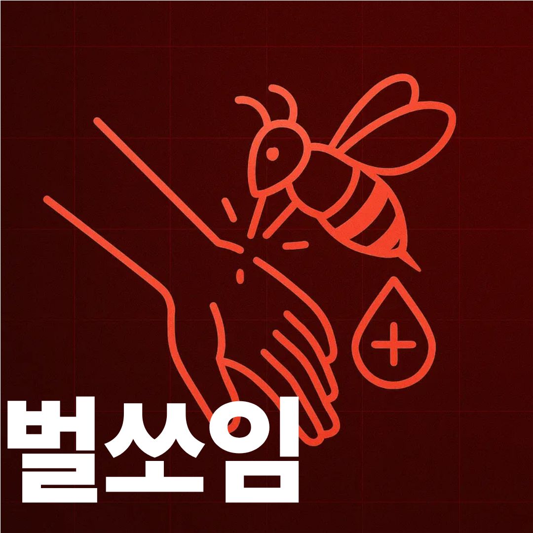 벌쏘임 표지사진