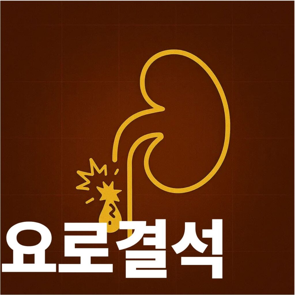 요로결석 표지사진