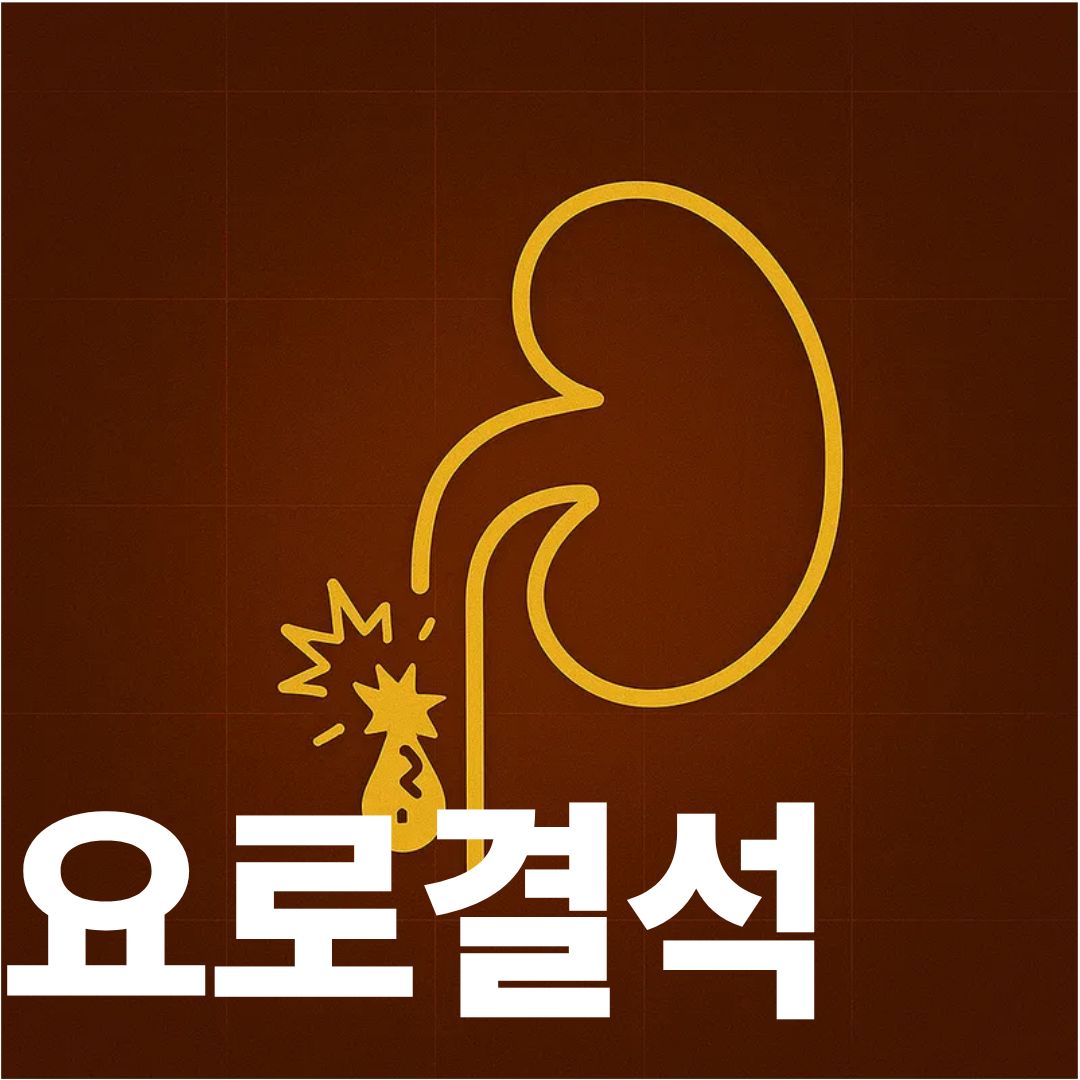 요로결석 표지사진