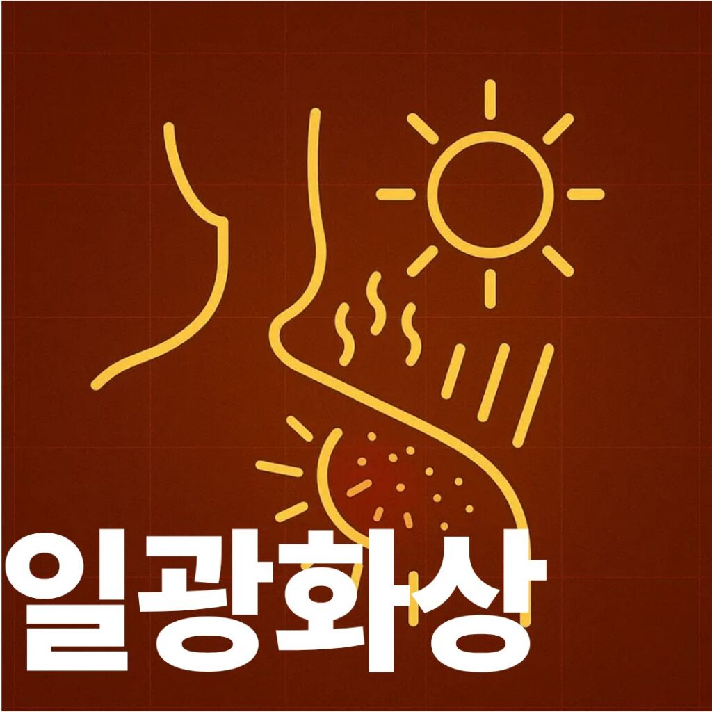 일광화상 표지사진
