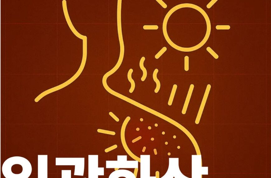 일광화상 표지사진