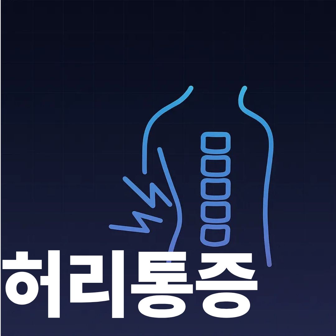 허리통증표지사진