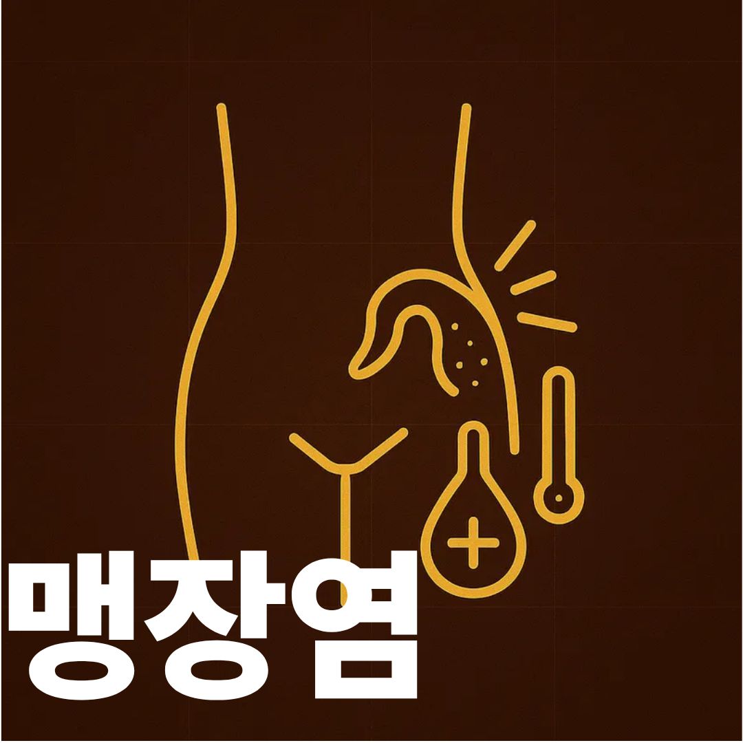 맹장염 썸네일