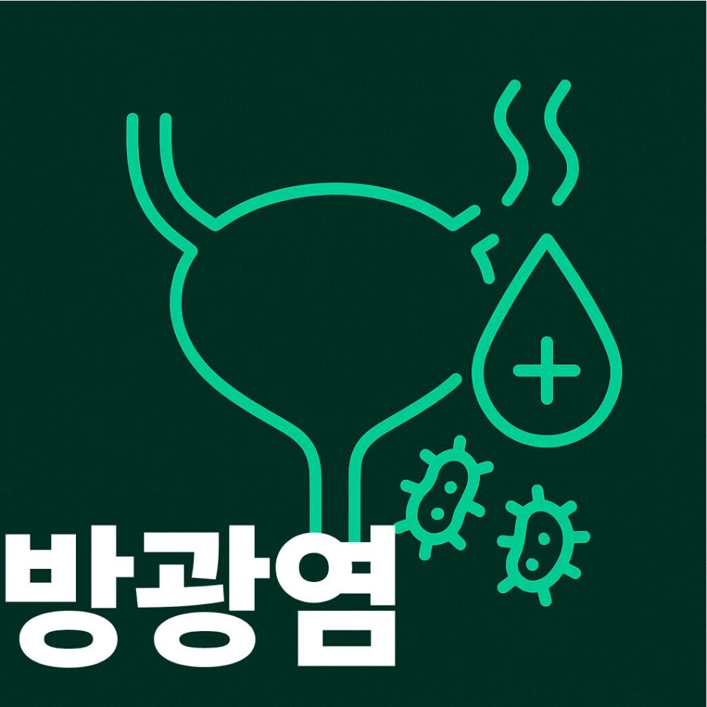 방광염 워드프레스 썸네일