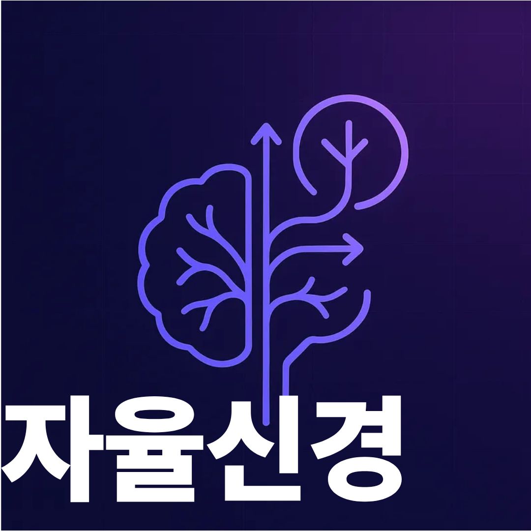 자율신경계 총정리: 교감신경 vs 부교감신경, 원인 모를 증상과 병원 방문 신호