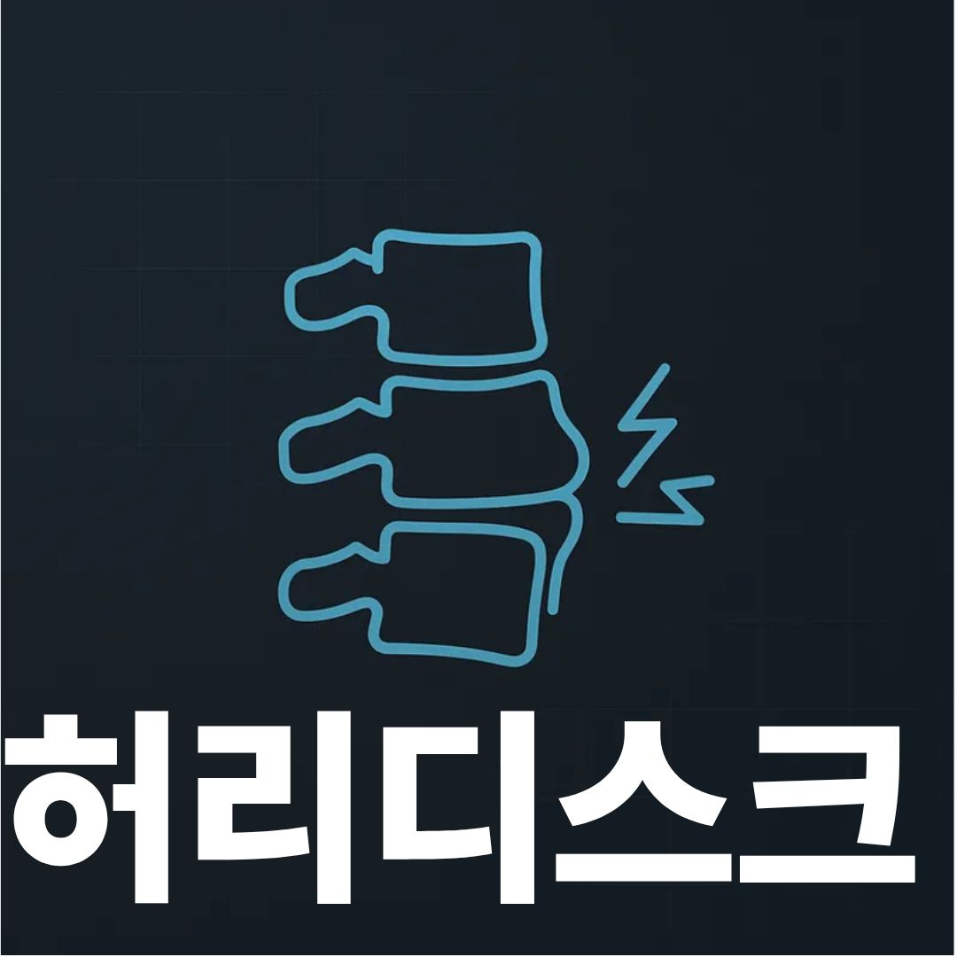 허리디스크표지사진