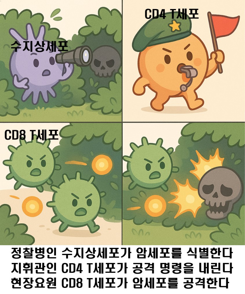 암백신의 원리에 대한 4컷만화
