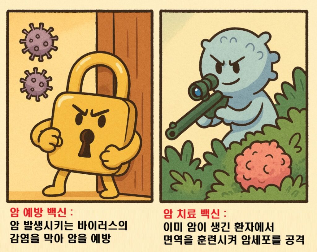 치료용암백신과 예방용암백신에 대해 비교하는 이미지