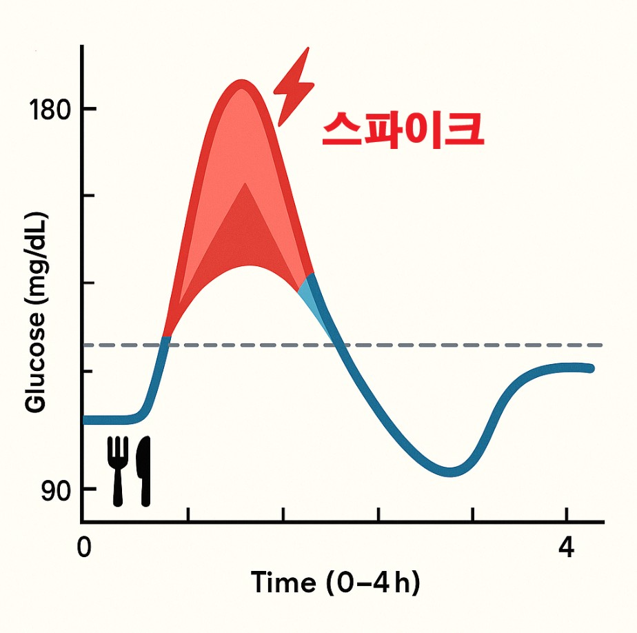 혈당스파이크의 그래프를 나타낸 그림