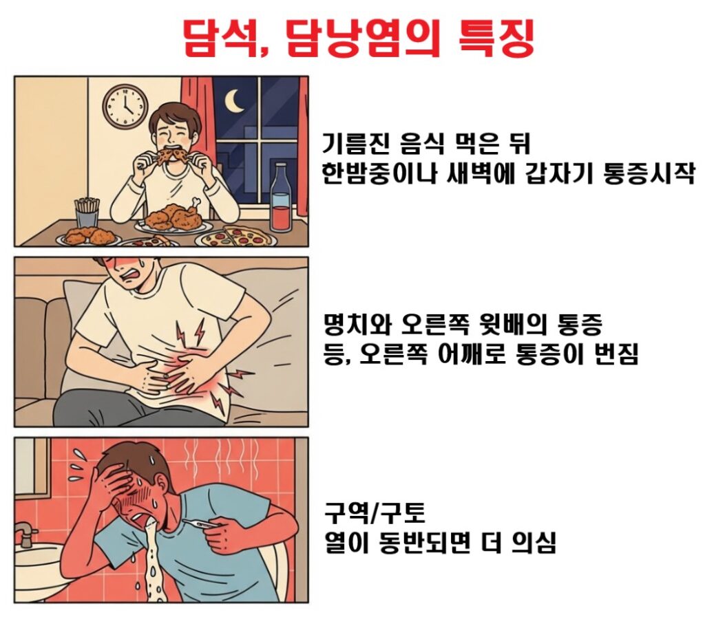 담낭염, 담석의 특징을 보여주는 3컷이미지