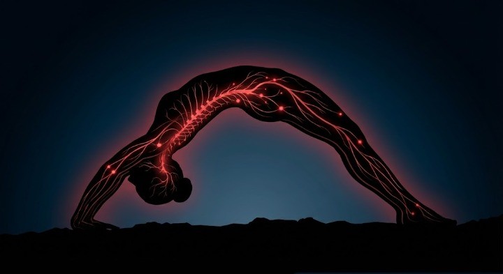 파상풍의 주증상인 전신의 신전에 대한 이미지