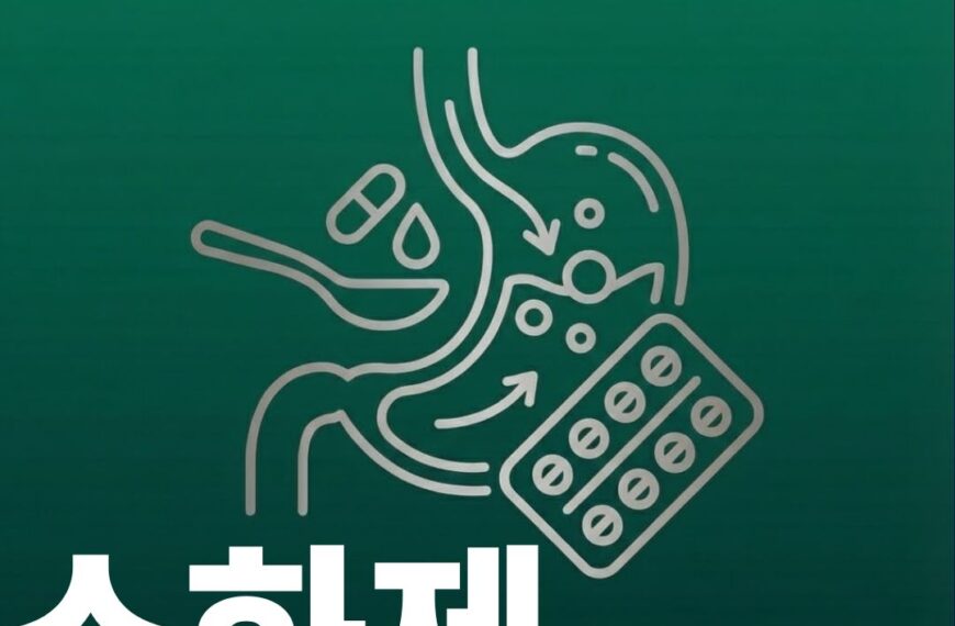소화제 썸네일