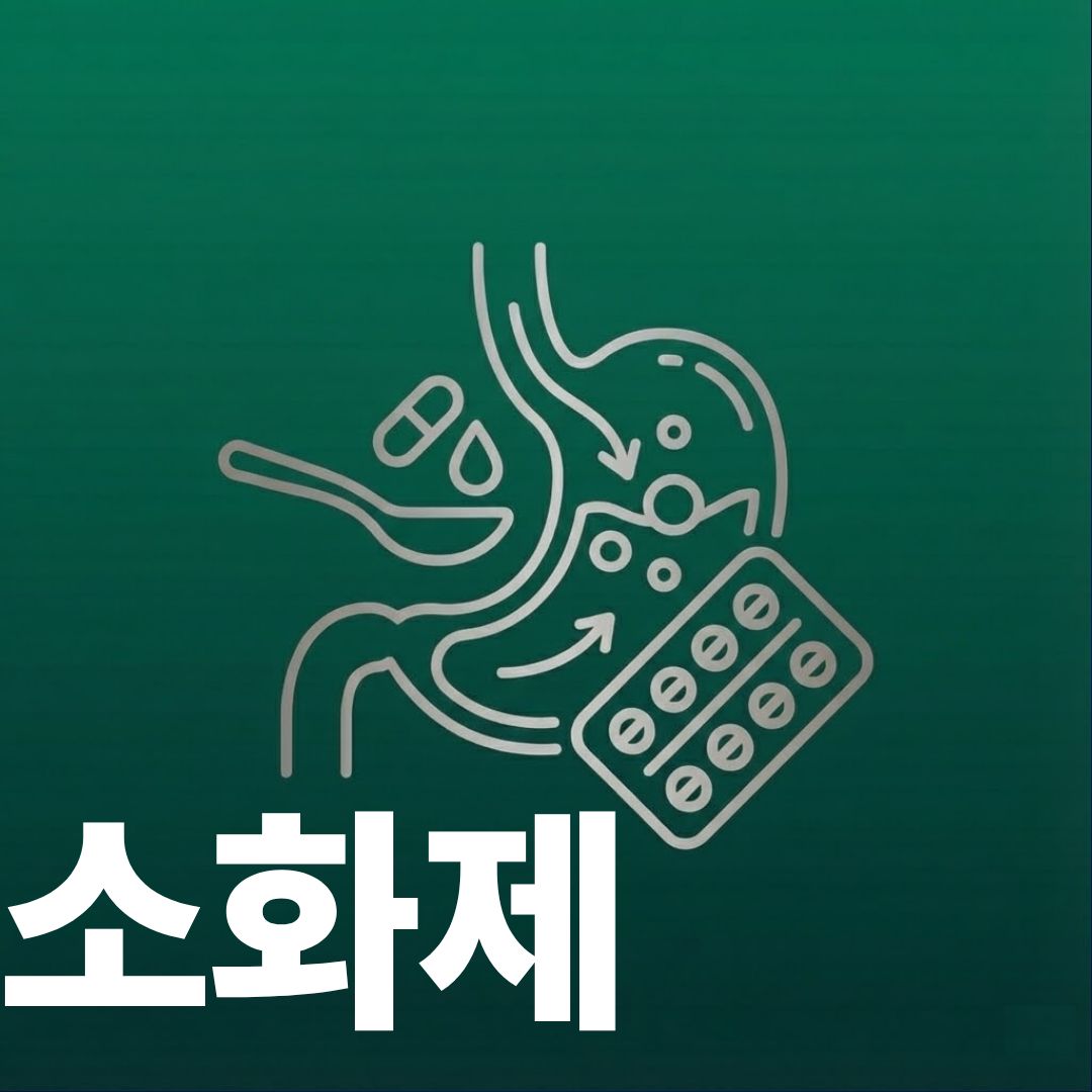 소화제 썸네일
