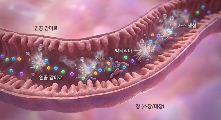 장내 미생물과 여러성분이 지나가는 이미지