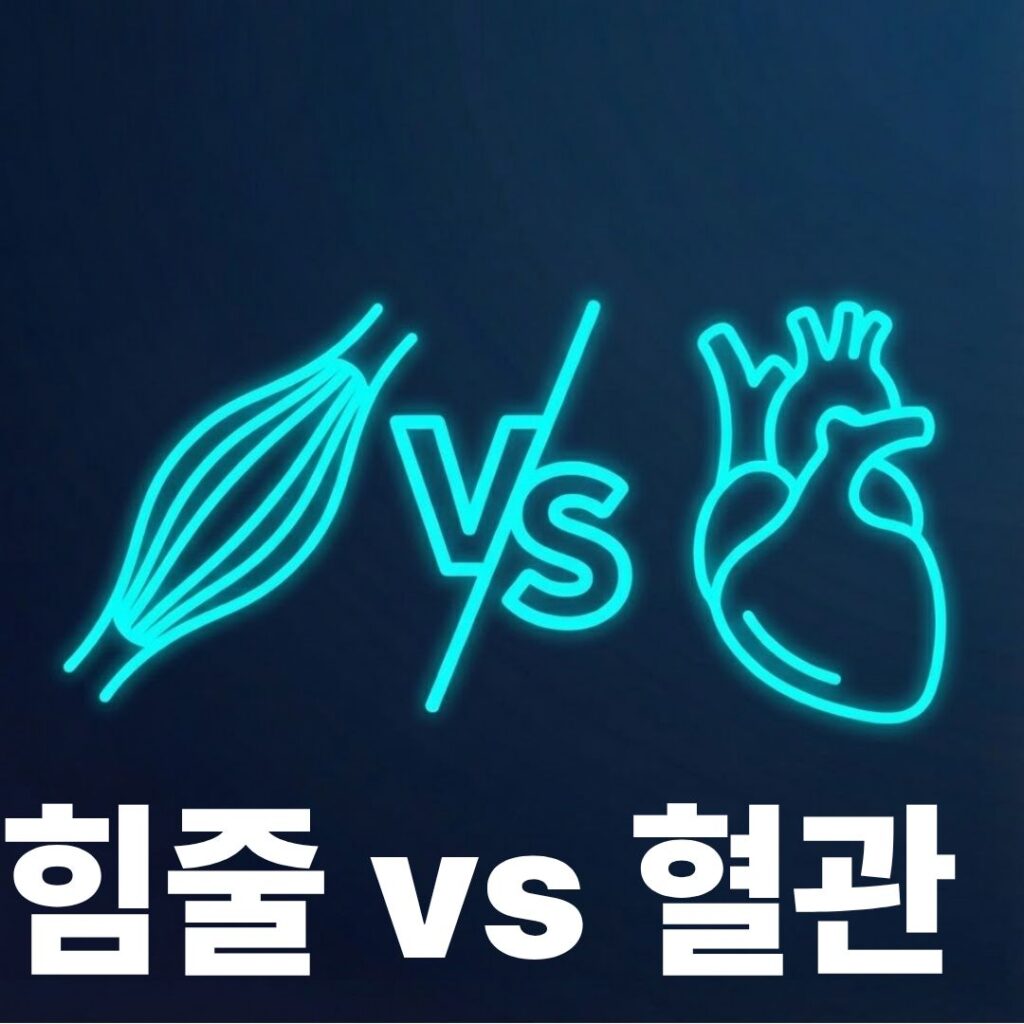 힘줄과정맥 썸네일