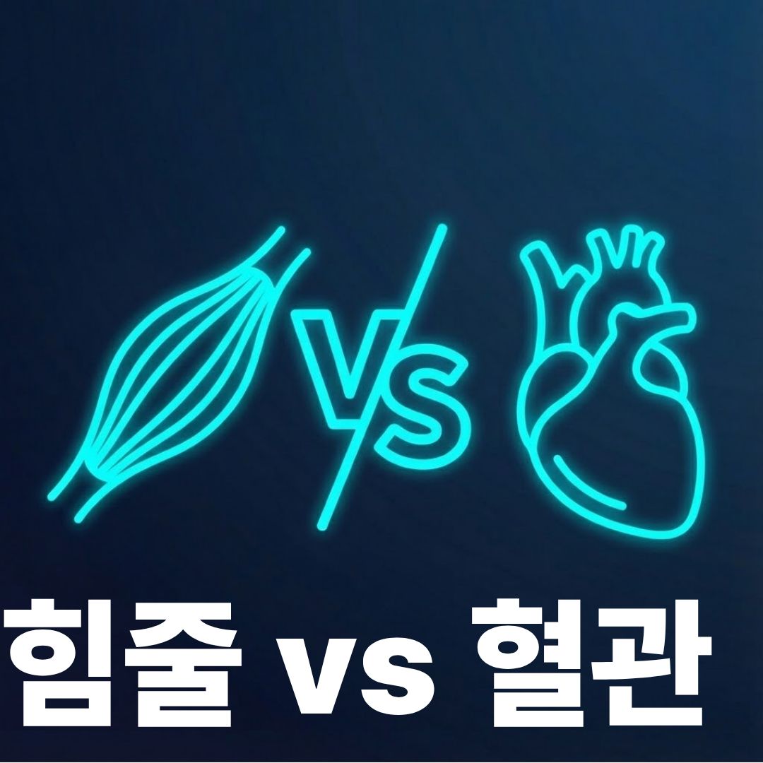 힘줄과정맥 썸네일