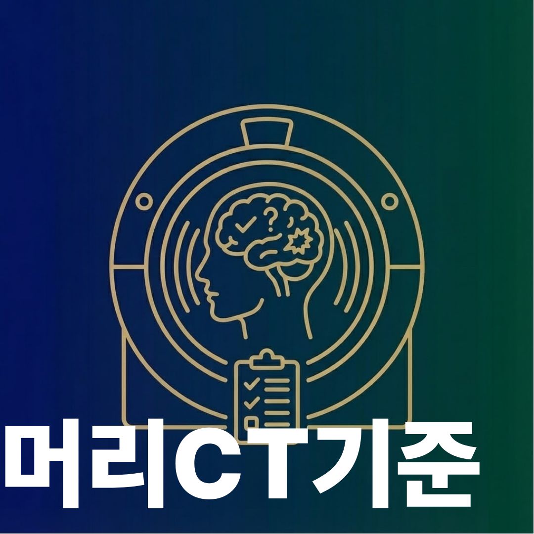 머리CT기준 썸네일